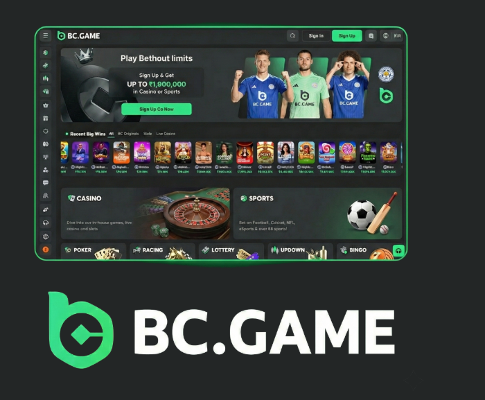 Unlock Exciting Rewards with BC.Game Bonuses and Promo Codes -232581197